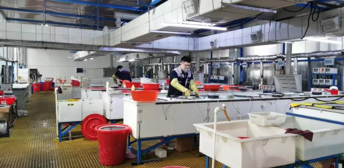 ZHENGZHOU JINCHUAN ABRASIVES CO., LTD. 공장 투어